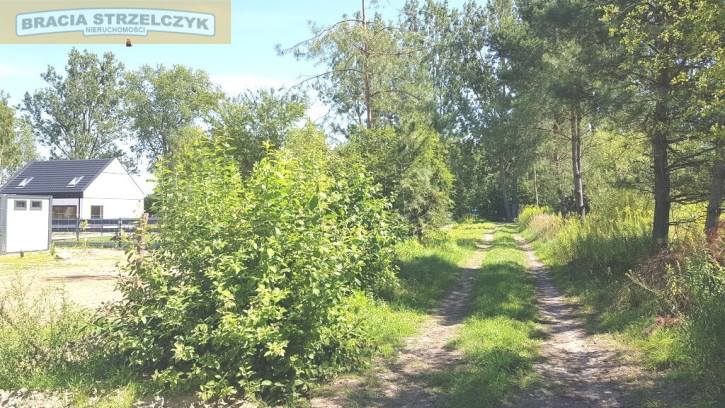 Działka Sprzedaż Słubica Dobra 2